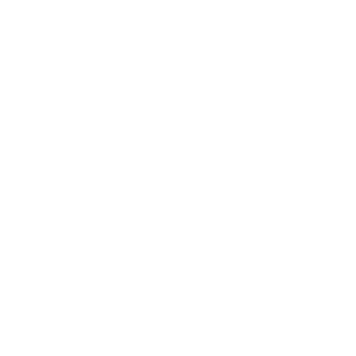 Technical SEO Audit
